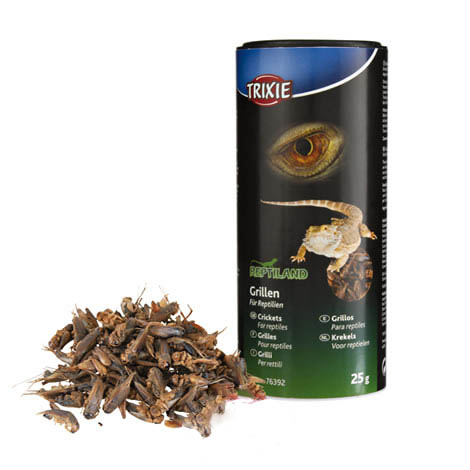 Grilos desidratado Trixie